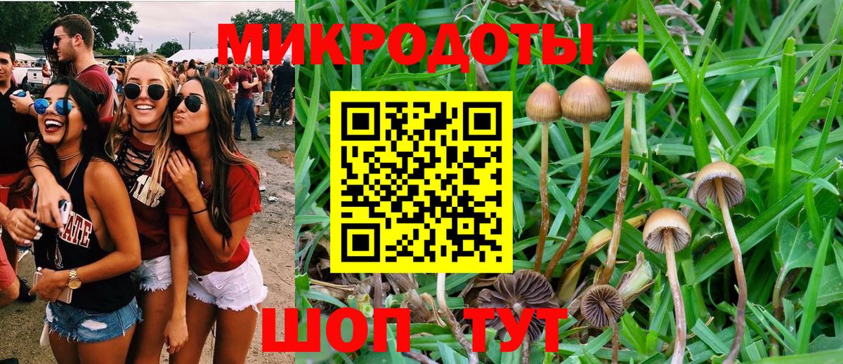 Галлюциногенные грибы Psilocybine cubensis  Вход с VPN  Галлюциногенные грибы Cubensis  Нижнеудинск 